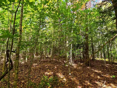 425 Symonds Mill Road Elmore VT 05680