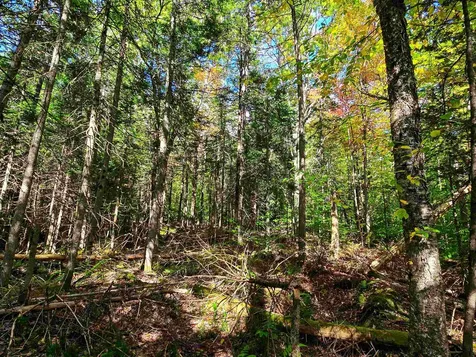 425 Symonds Mill Road Elmore VT 05680