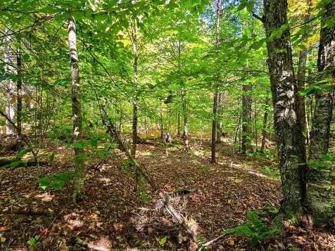 425 Symonds Mill Road Elmore VT 05680