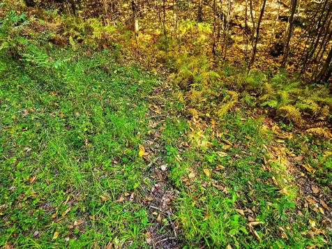 425 Symonds Mill Road Elmore VT 05680