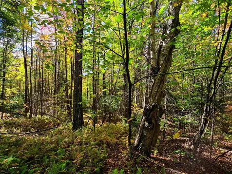 425 Symonds Mill Road Elmore VT 05680