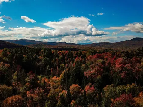 425 Symonds Mill Road Elmore VT 05680