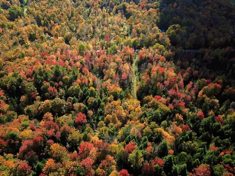 425 Symonds Mill Road Elmore VT 05680