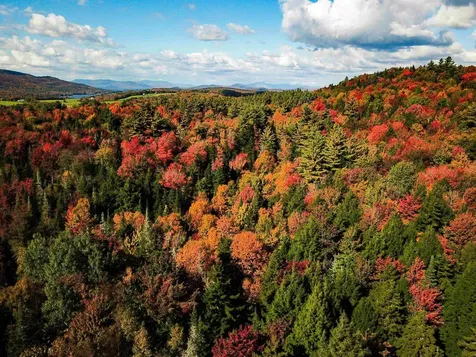 425 Symonds Mill Road Elmore VT 05680