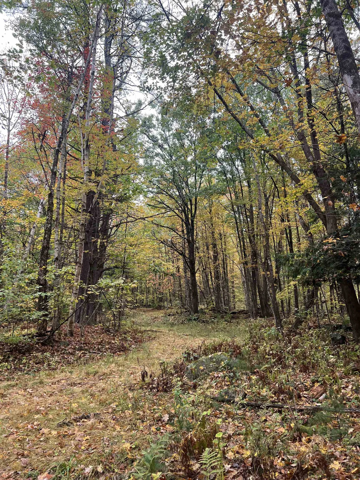 Freeman Colby Road Henniker NH 03242