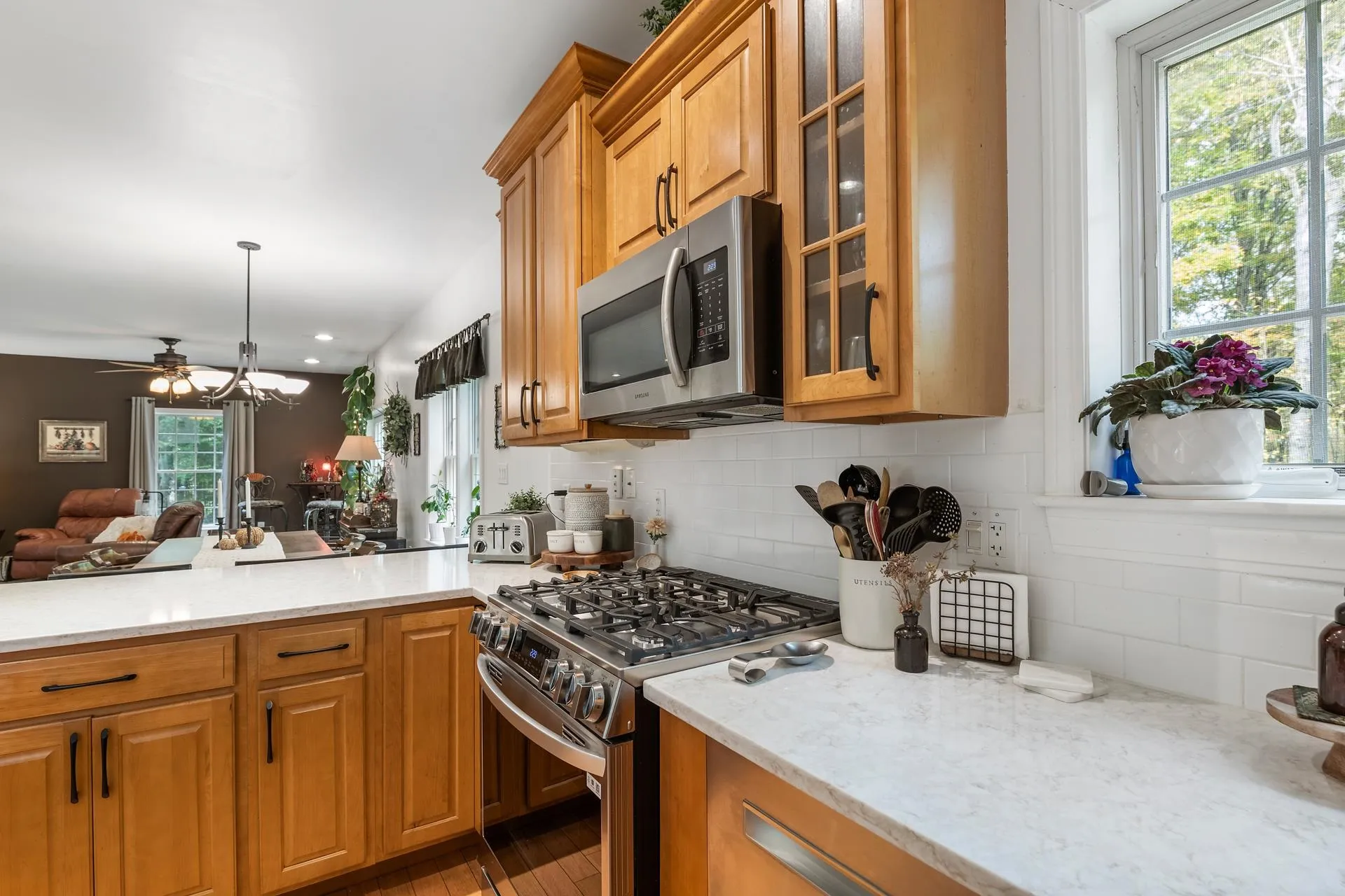 512 Dunbar Hill Road Grantham NH 03753