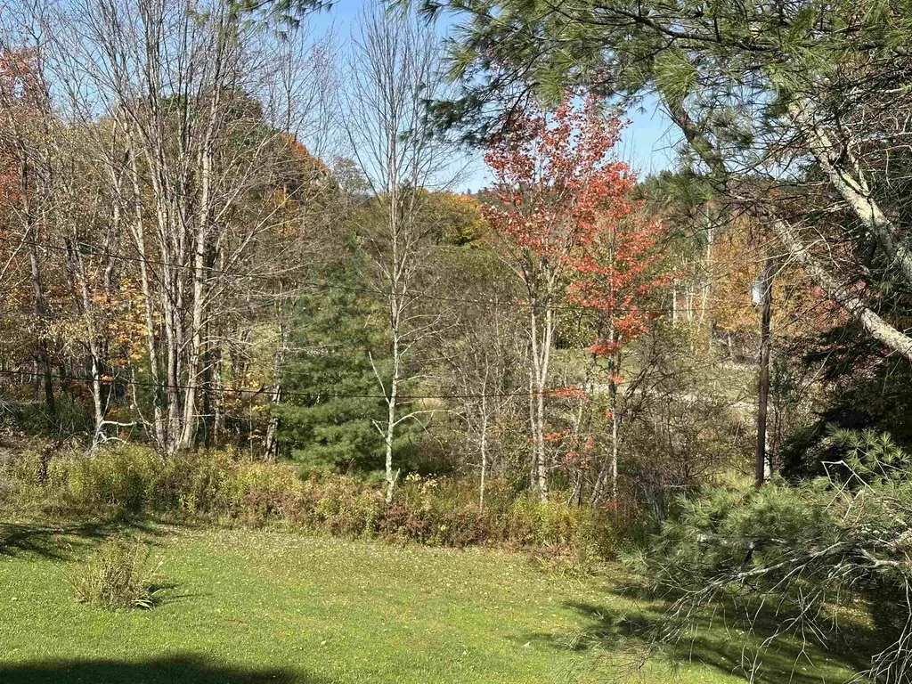 37 Aldrich Road Peru VT 05152