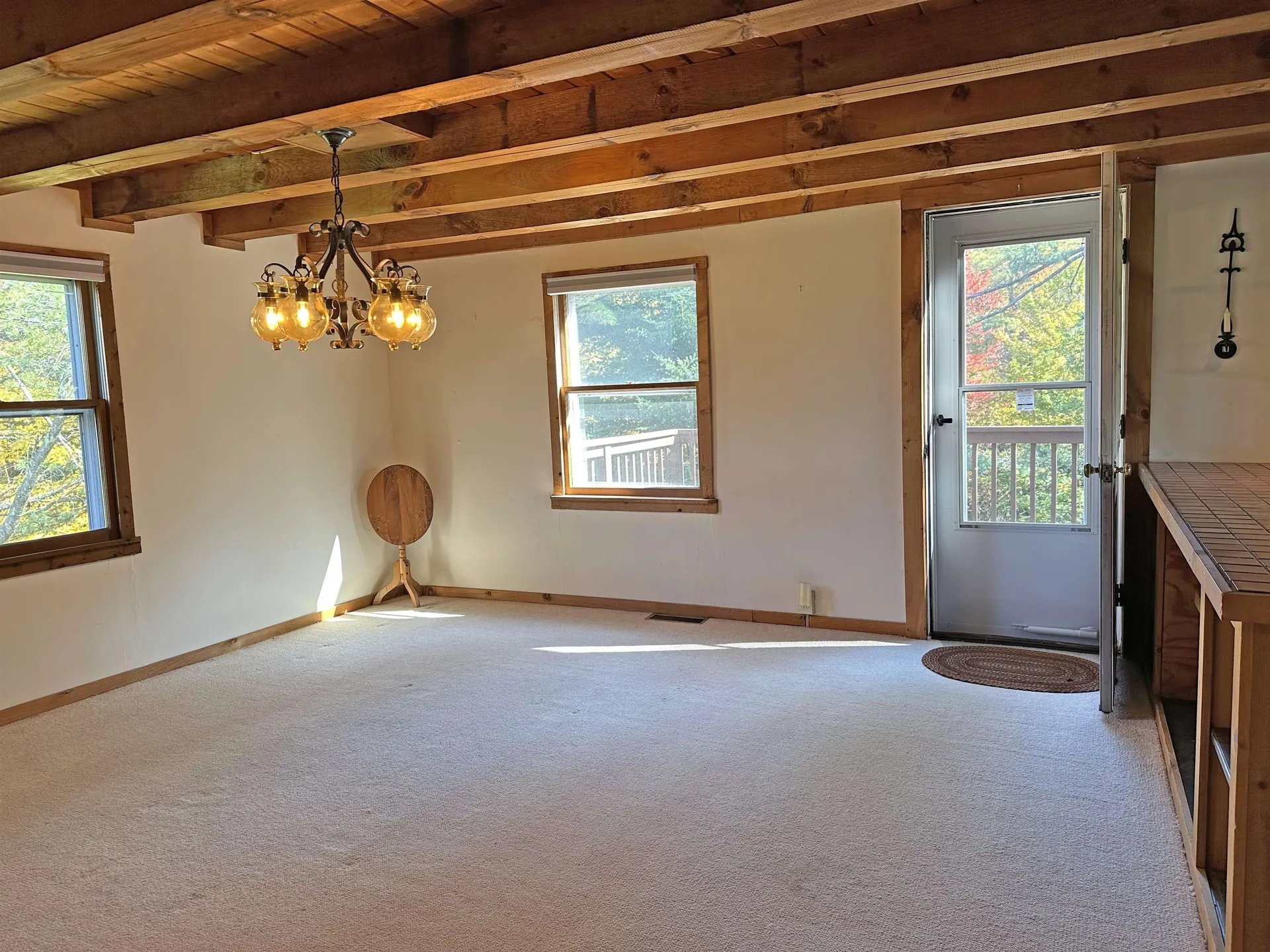 37 Aldrich Road Peru VT 05152