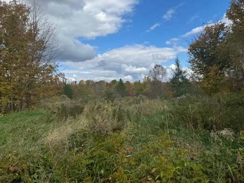 177 Highlander Street Greensboro VT 05842