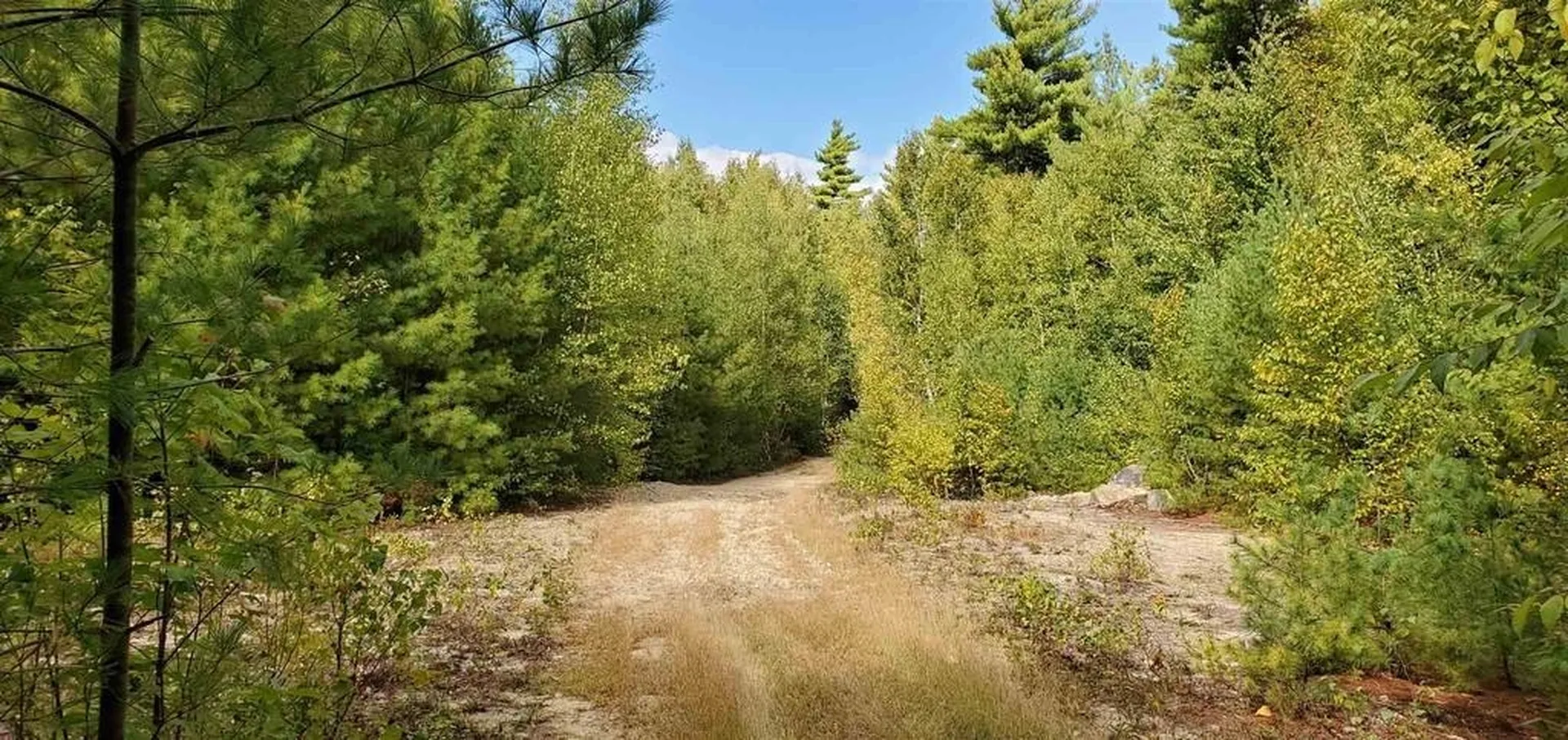 220 Stowell Road New Ipswich NH 03071