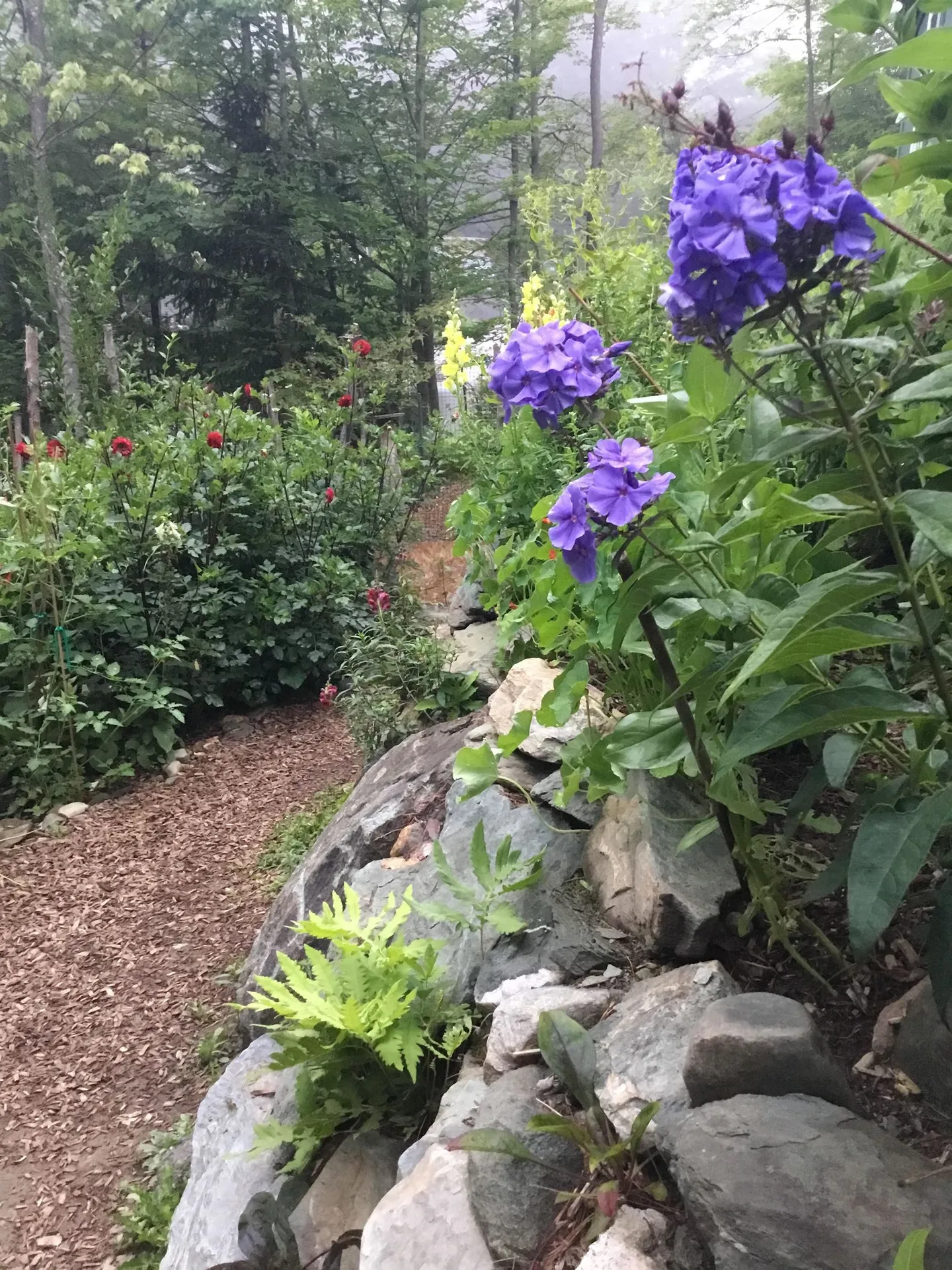 17 Dewey Street Montpelier VT 05602