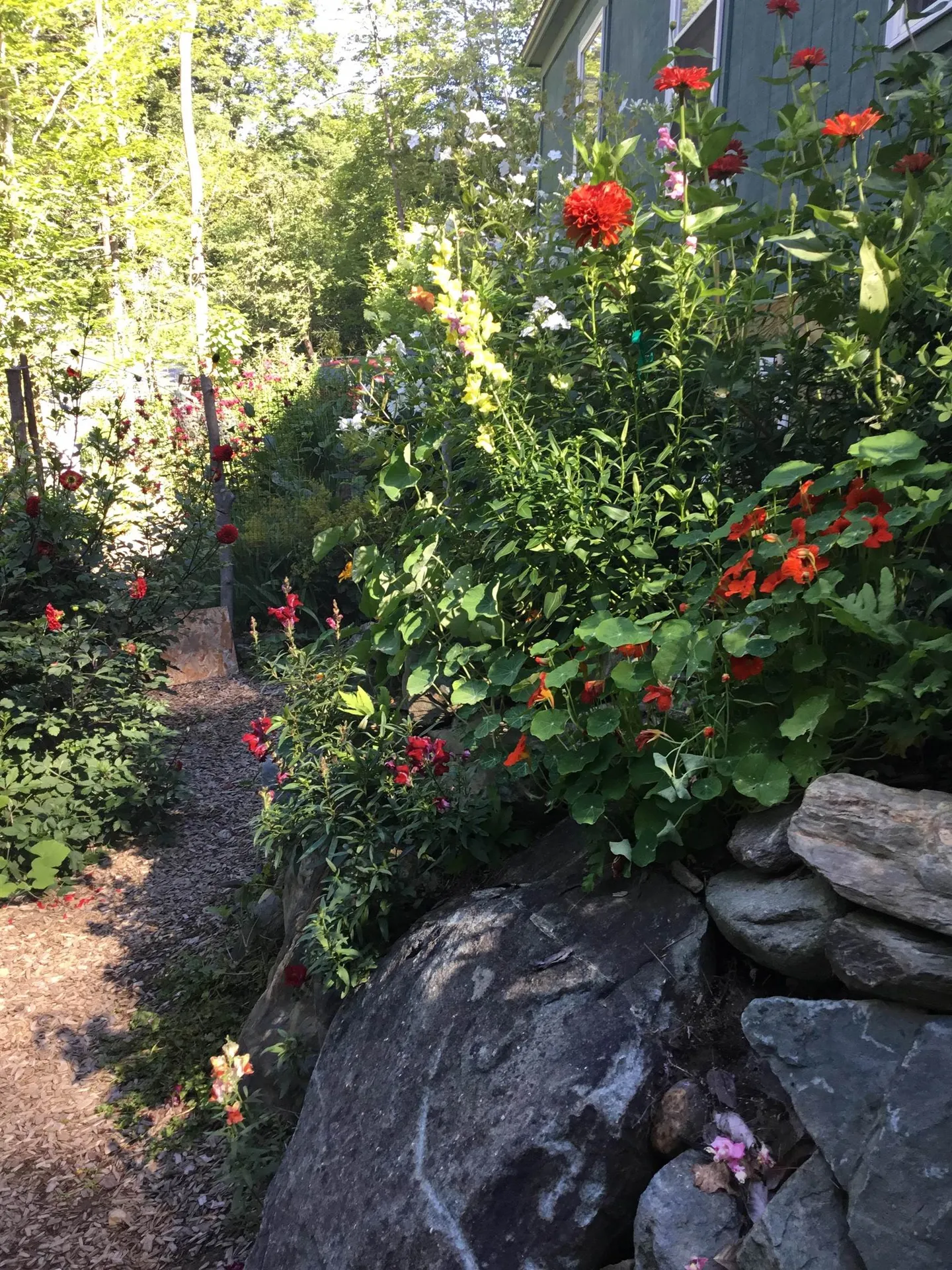17 Dewey Street Montpelier VT 05602