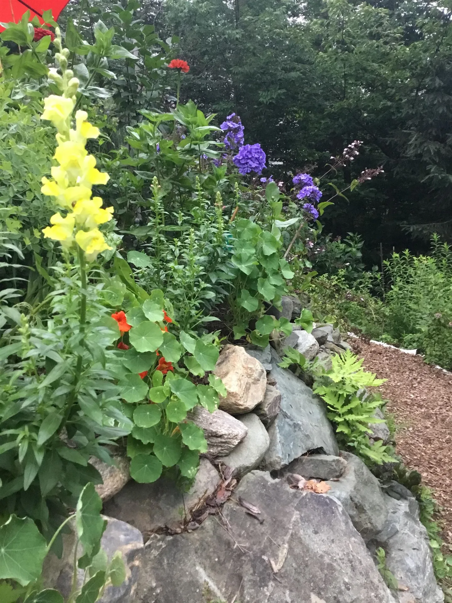 17 Dewey Street Montpelier VT 05602