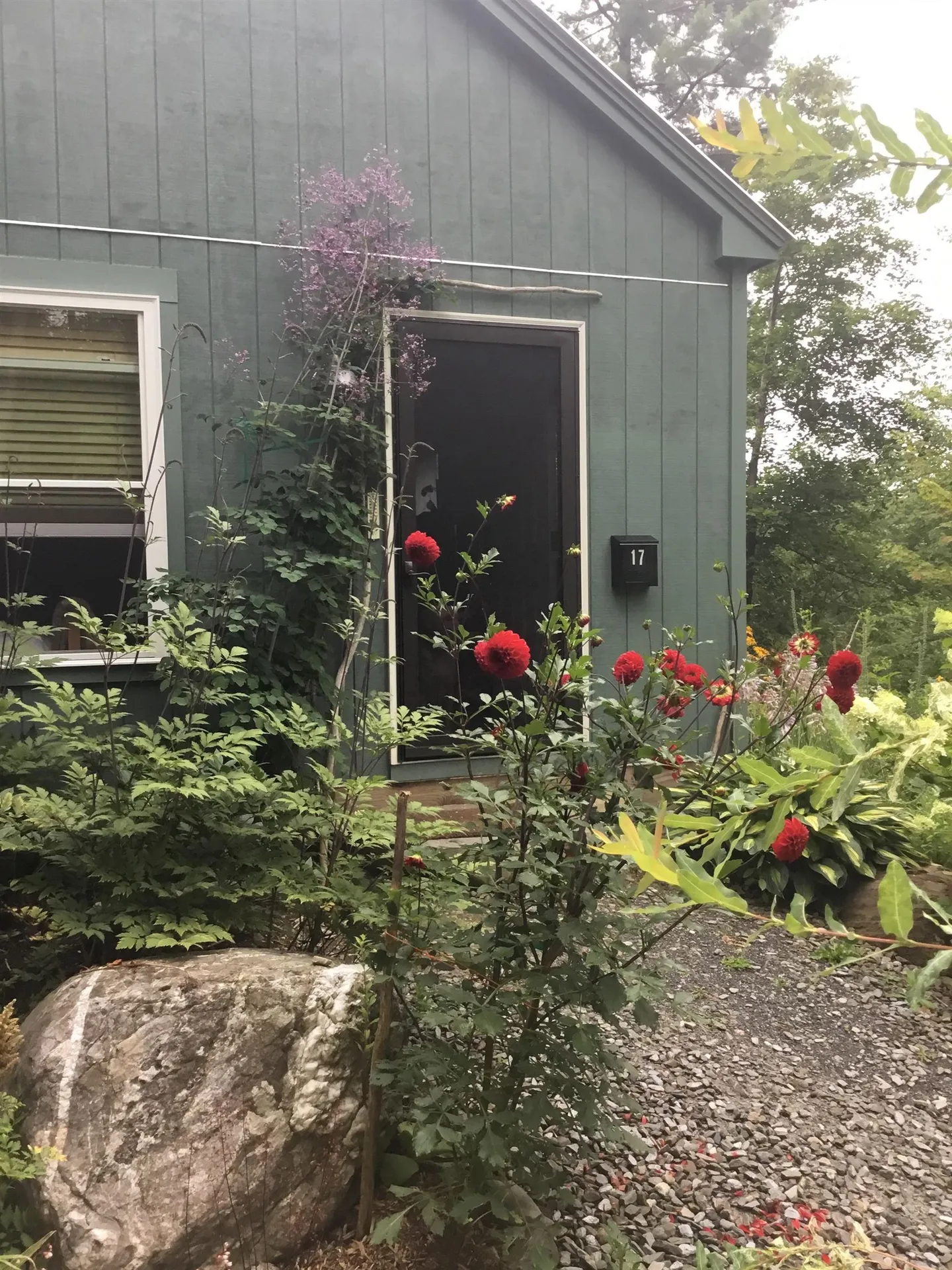 17 Dewey Street Montpelier VT 05602