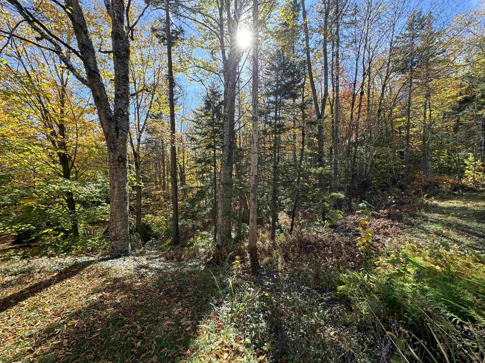 359 Case Lane Readsboro VT 05350