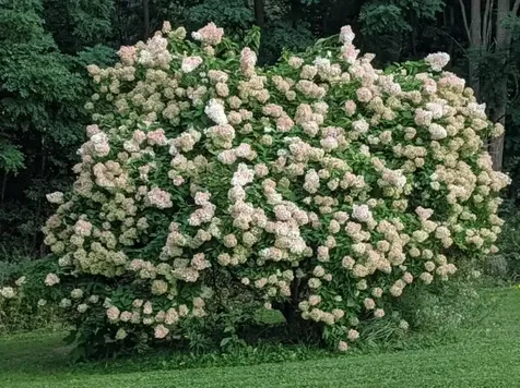 2505 East Street New Haven VT 05472