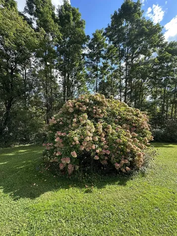 2505 East Street New Haven VT 05472