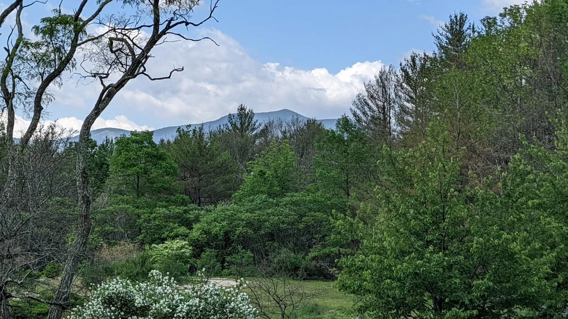 00 Route 16a Bartlett NH 03845