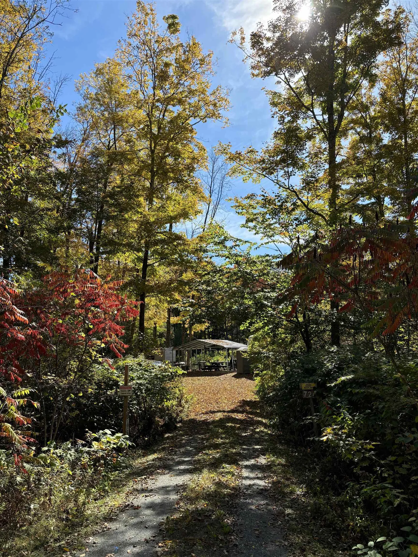 724 Saxton River Road Rockingham VT 05154