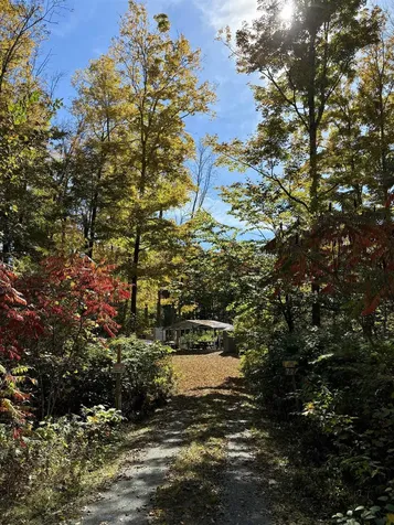 724 Saxton River Road Rockingham VT 05154