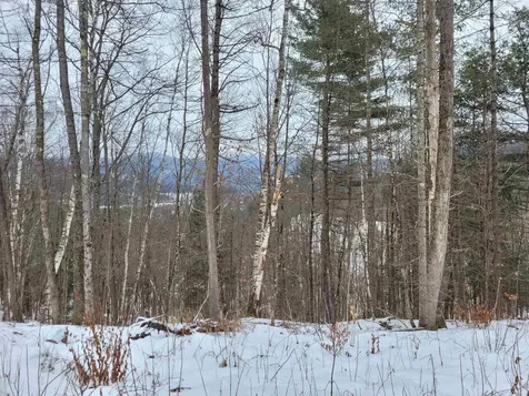 509 Garland Hill Barnet VT 05821