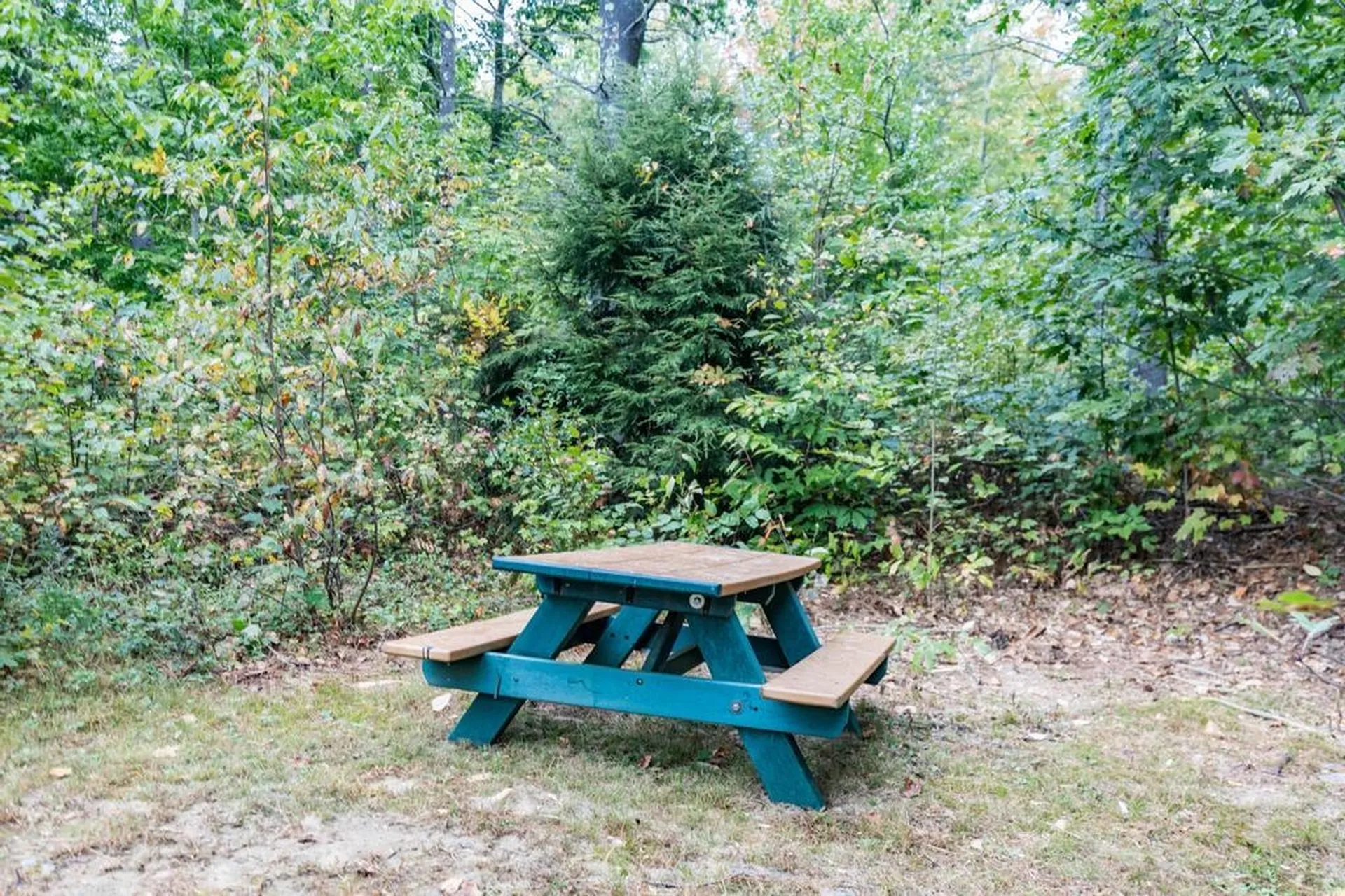 544 H Road Acton ME 04001