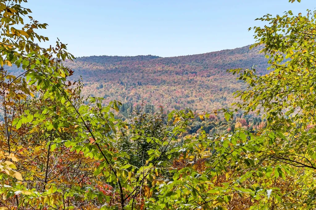 1309 Notchbrook Road Stowe VT 05672