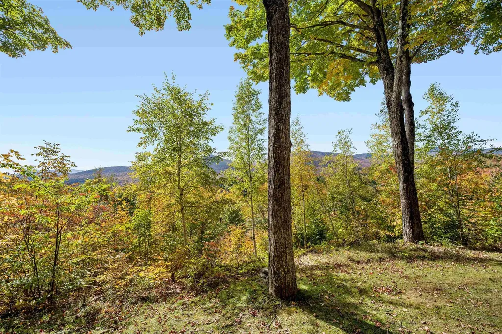 1309 Notchbrook Road Stowe VT 05672