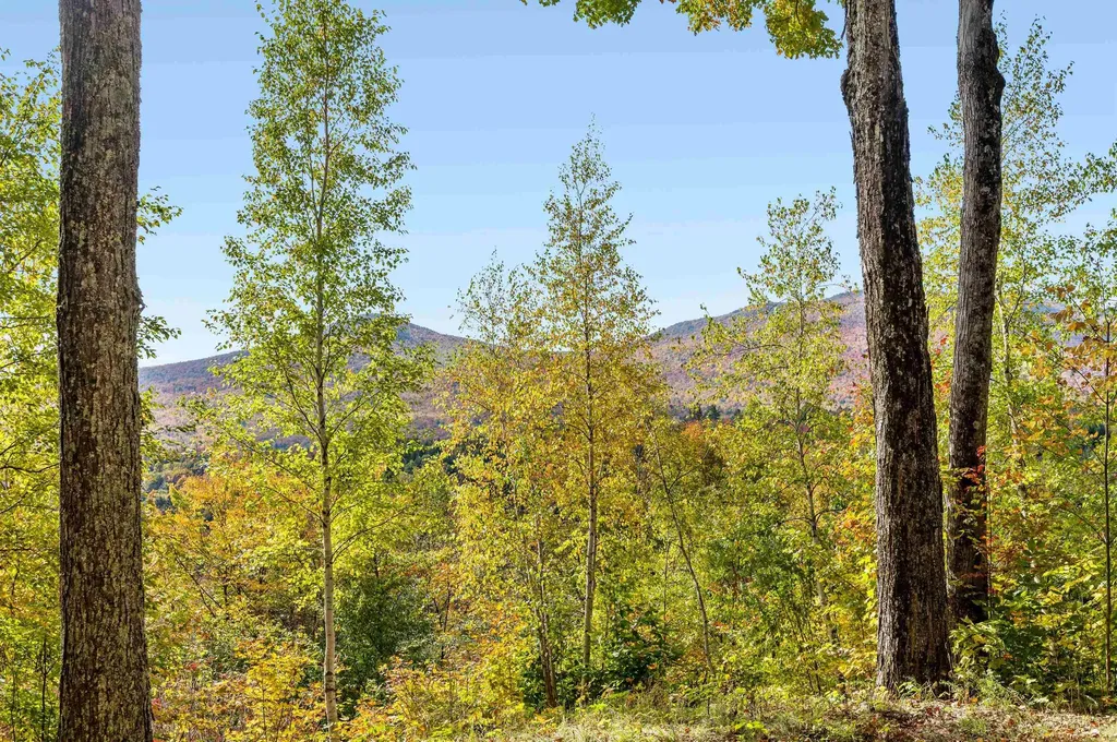 1309 Notchbrook Road Stowe VT 05672