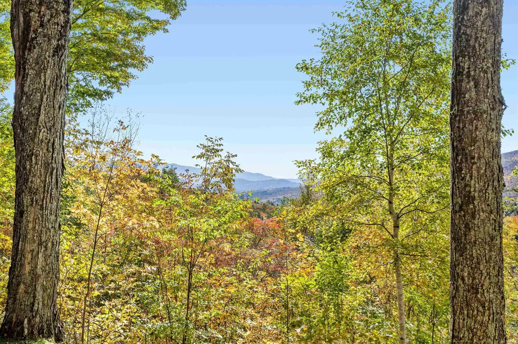1309 Notchbrook Road Stowe VT 05672