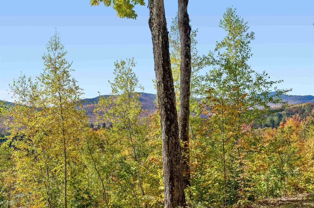 1309 Notchbrook Road Stowe VT 05672