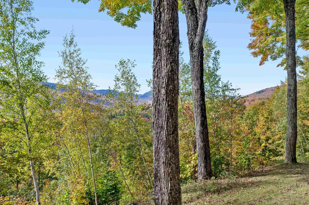 1309 Notchbrook Road Stowe VT 05672