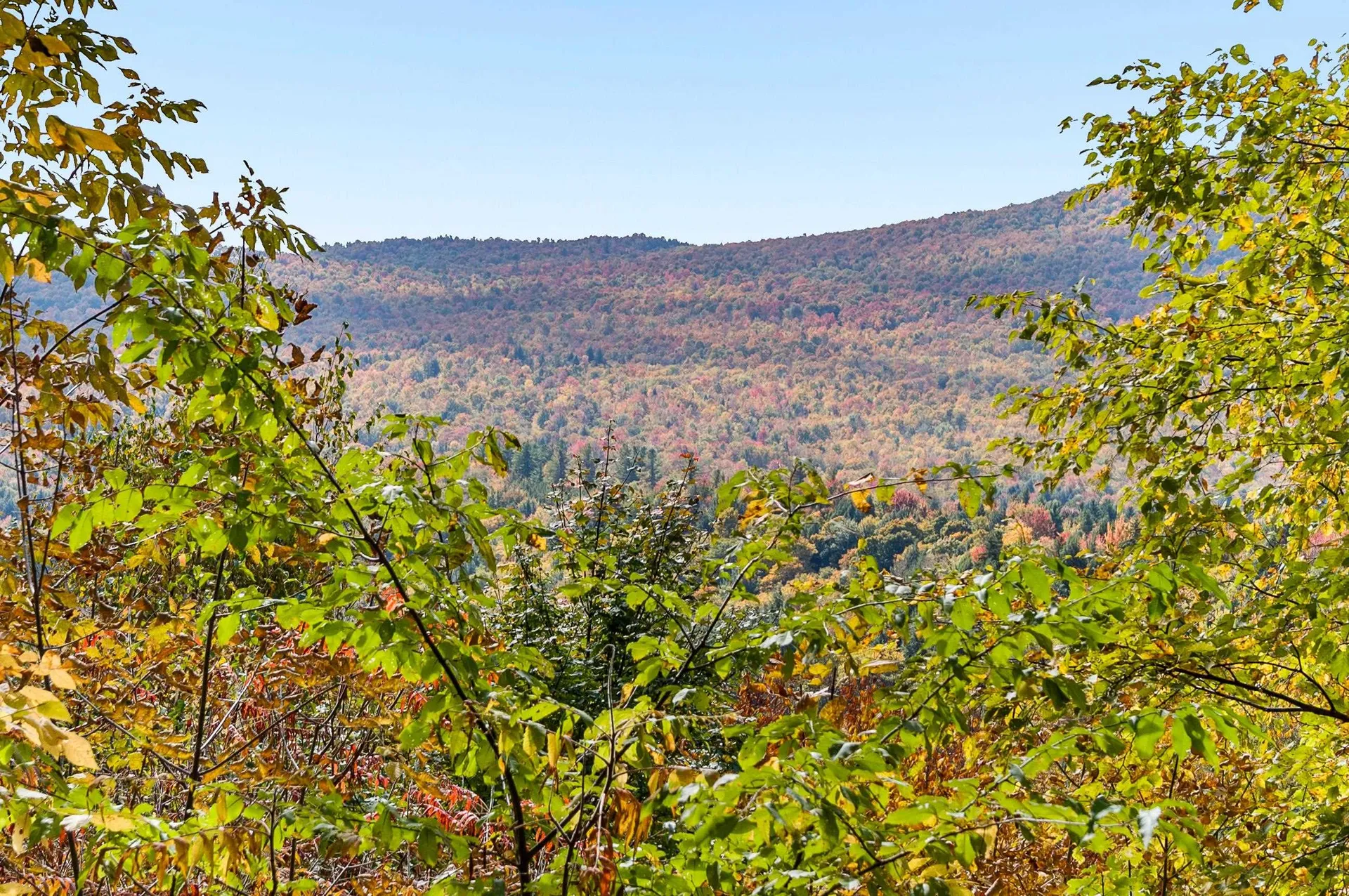 1309 Notchbrook Road Stowe VT 05672