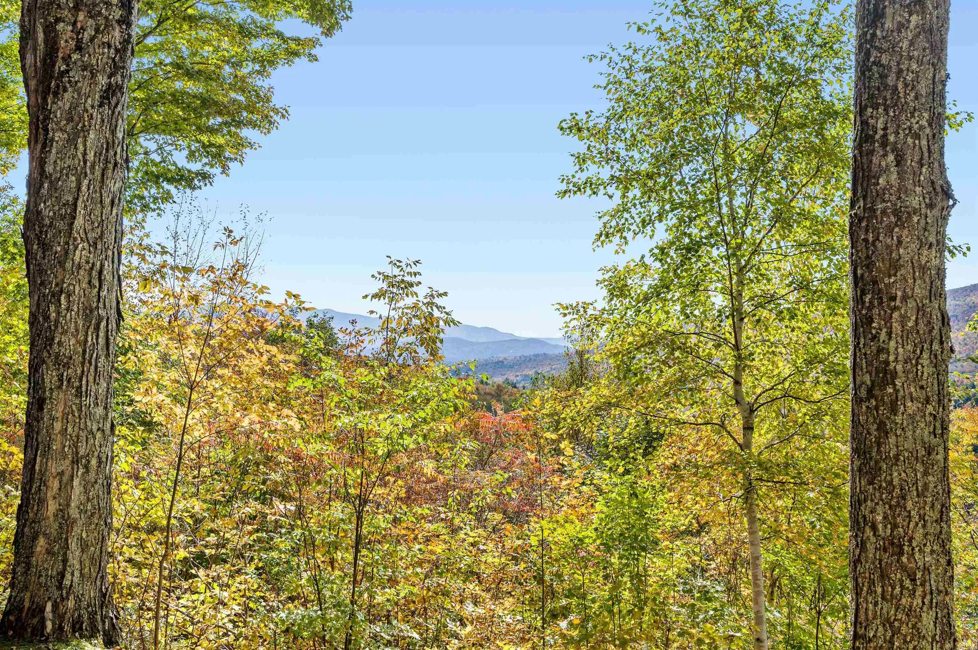1309 Notchbrook Road Stowe VT 05672