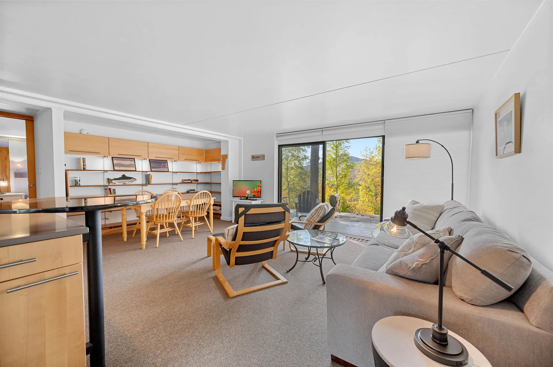1309 Notchbrook Road Stowe VT 05672
