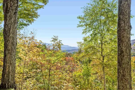 1309 Notchbrook Road Stowe VT 05672