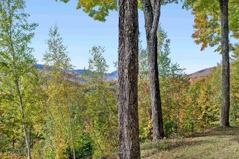 1309 Notchbrook Road Stowe VT 05672