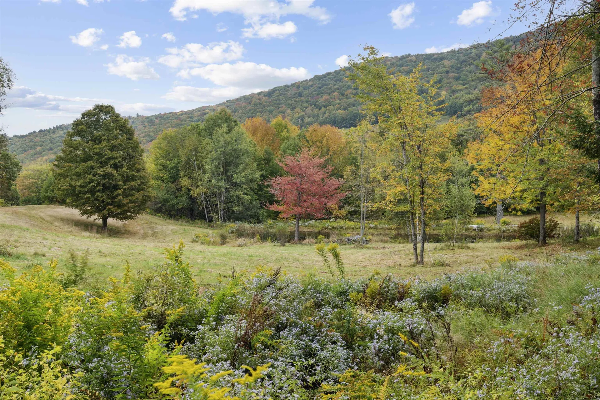 354 Miner Road Chester VT 05143