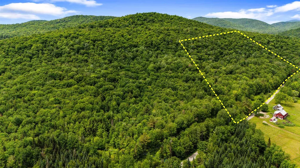 281 Tree Farm Road Eden VT 05652-0000