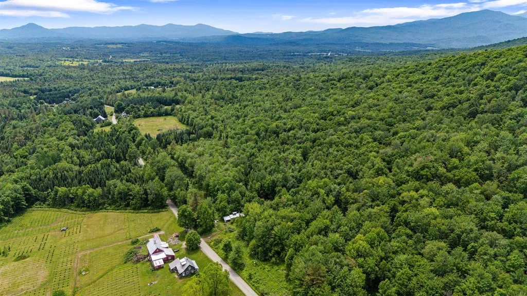 281 Tree Farm Road Eden VT 05652-0000