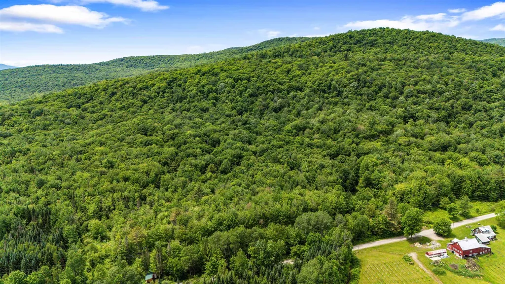 281 Tree Farm Road Eden VT 05652-0000