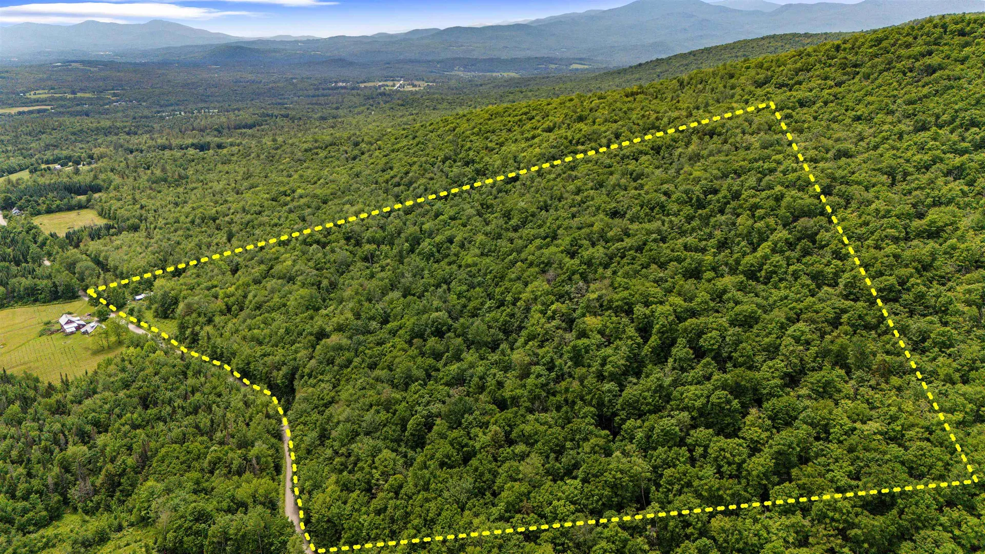 281 Tree Farm Road Eden VT 05652-0000