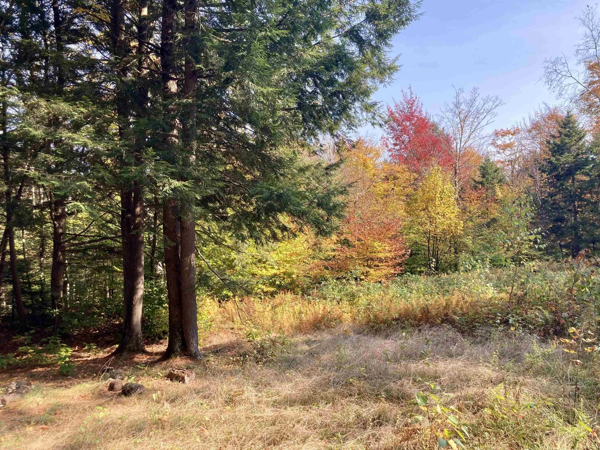 Lot 5 Taylor Road Duxbury VT 05676