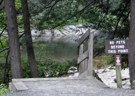 232 Worden Road Jamaica VT 05343