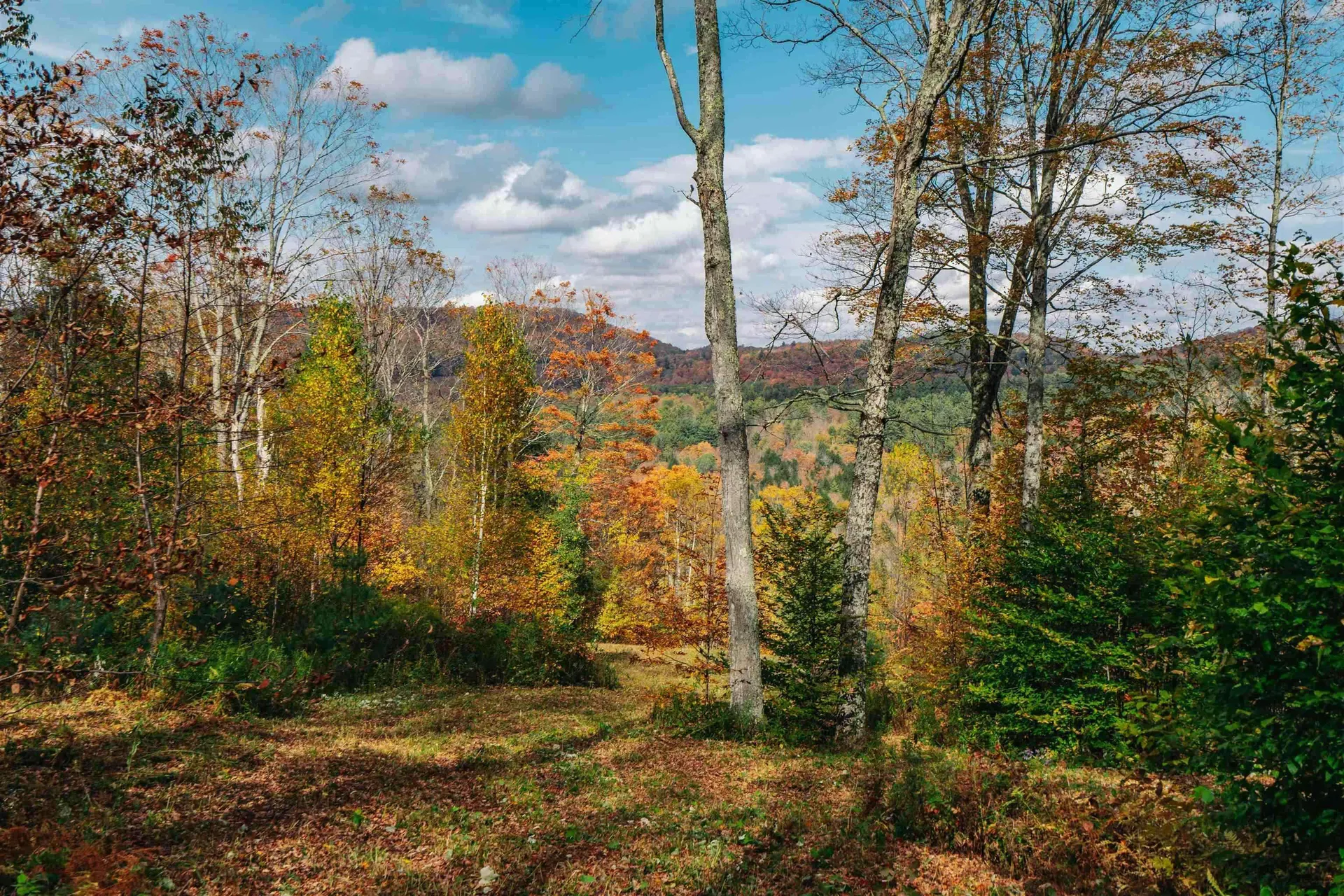 186 Bicknell Hill Road Tunbridge VT 05077