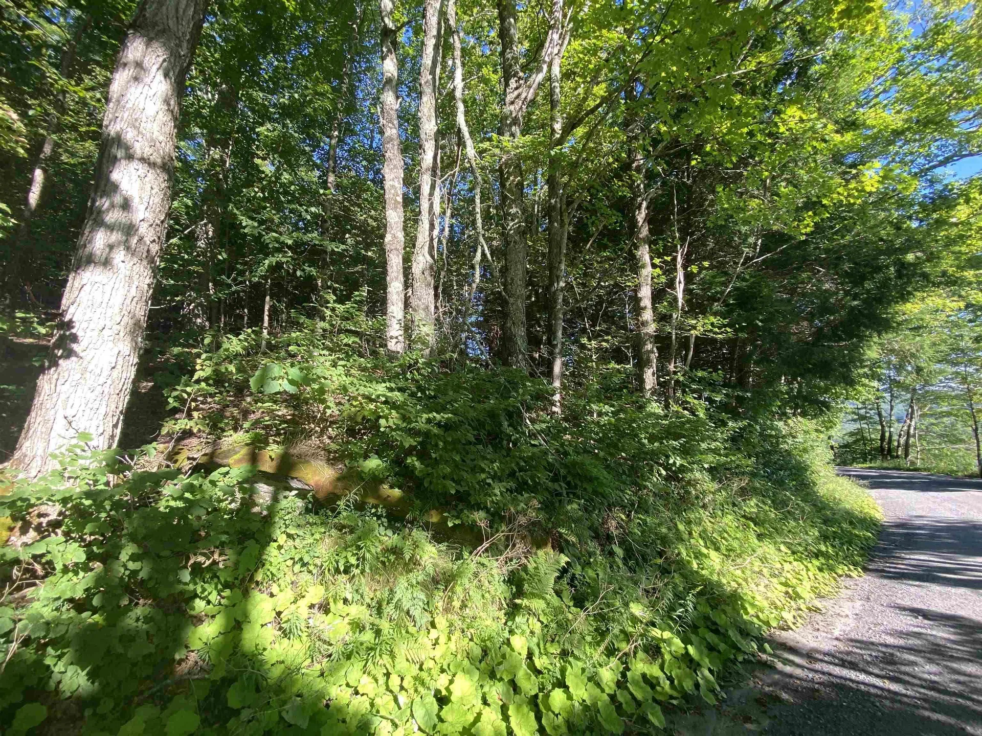 186 Bicknell Hill Road Tunbridge VT 05077