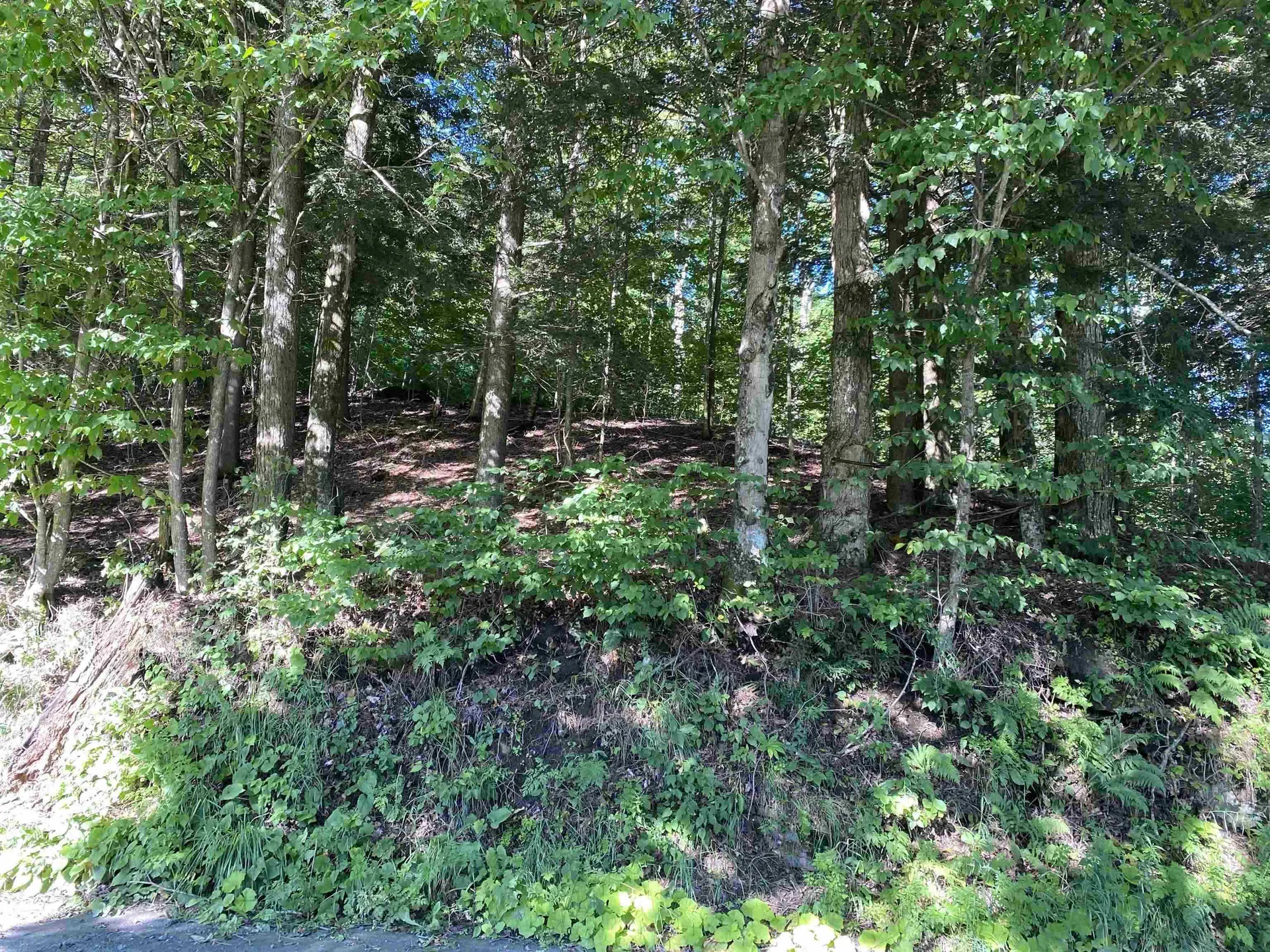 186 Bicknell Hill Road Tunbridge VT 05077