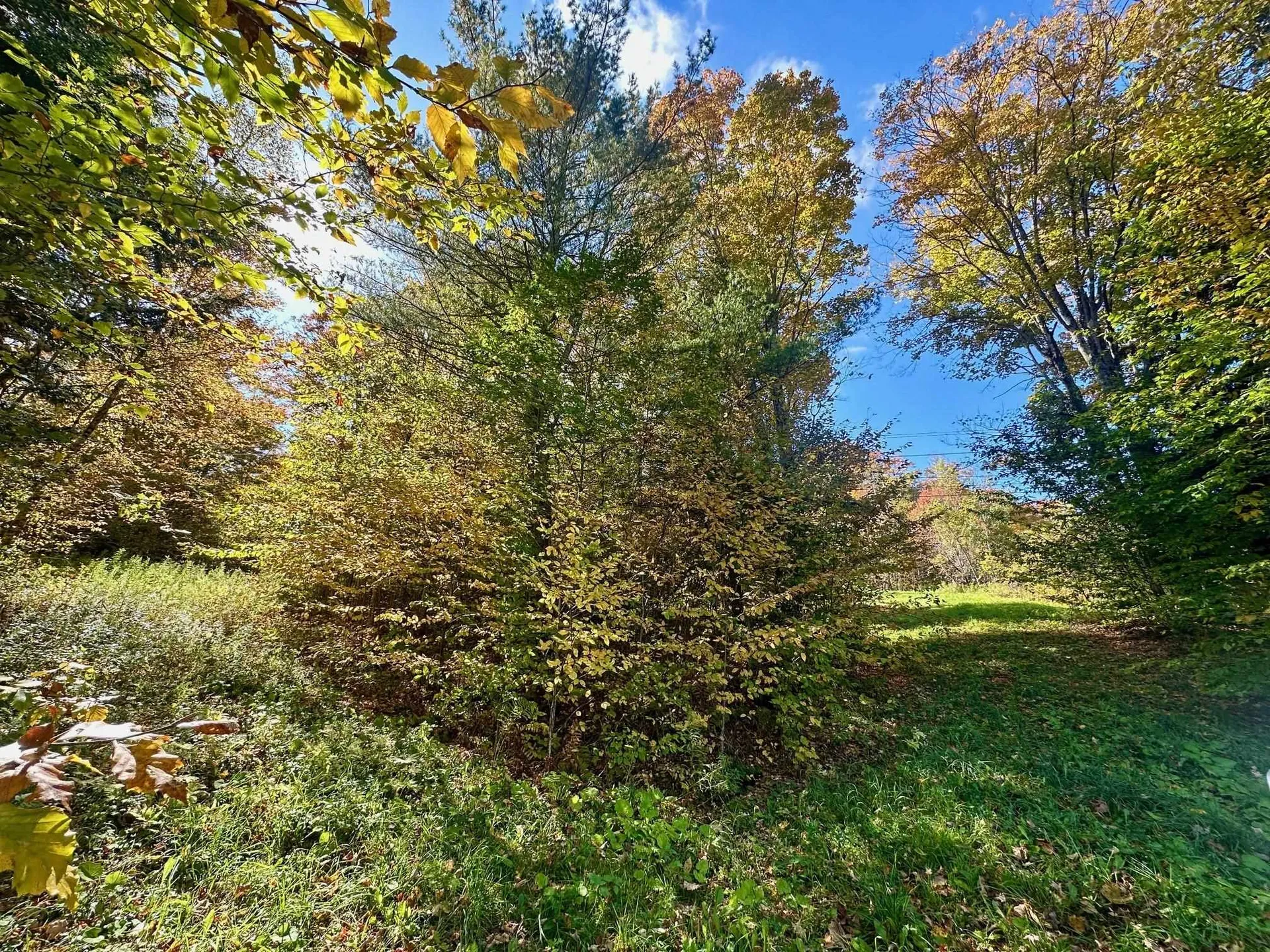 186 Bicknell Hill Road Tunbridge VT 05077