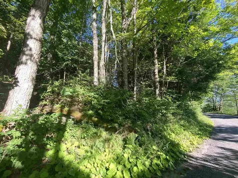 186 Bicknell Hill Road Tunbridge VT 05077