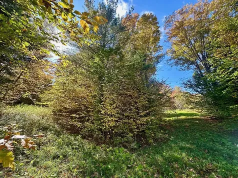 186 Bicknell Hill Road Tunbridge VT 05077